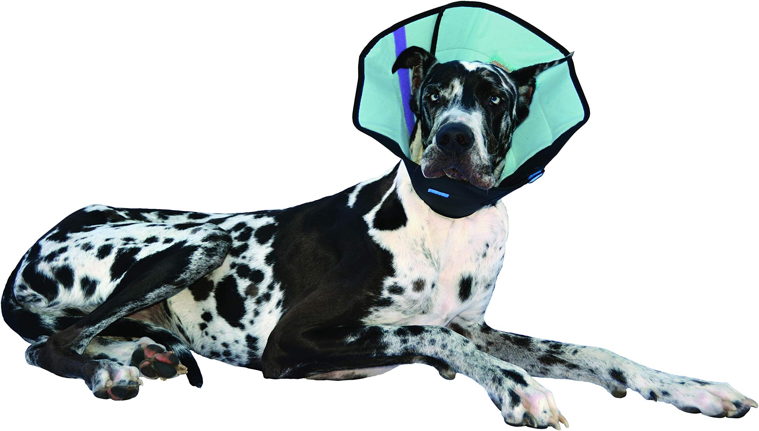 Calm Paws Dog Caring Collar with Calming, Large