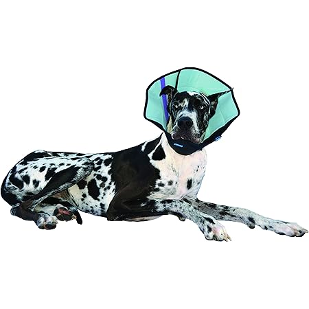 calm paws caring collar medium