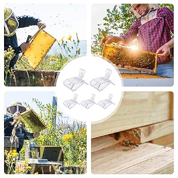 Amazon | 女王蜂クリップ、女王蜂用ケージ | 5 個の透明な