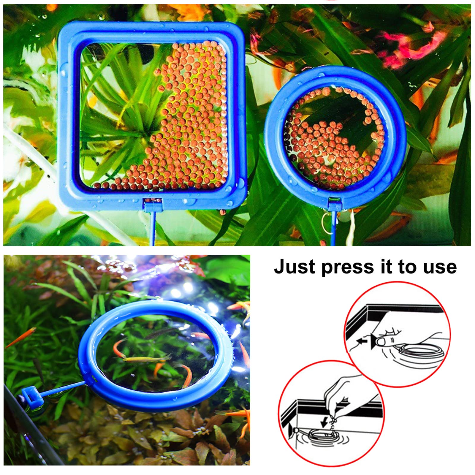 Cobee Lot de 2 mangeoires pour poissons d'aquarium - Accessoires circulaires pour gupy, Bettas, poissons rouges, tortues (bleu)