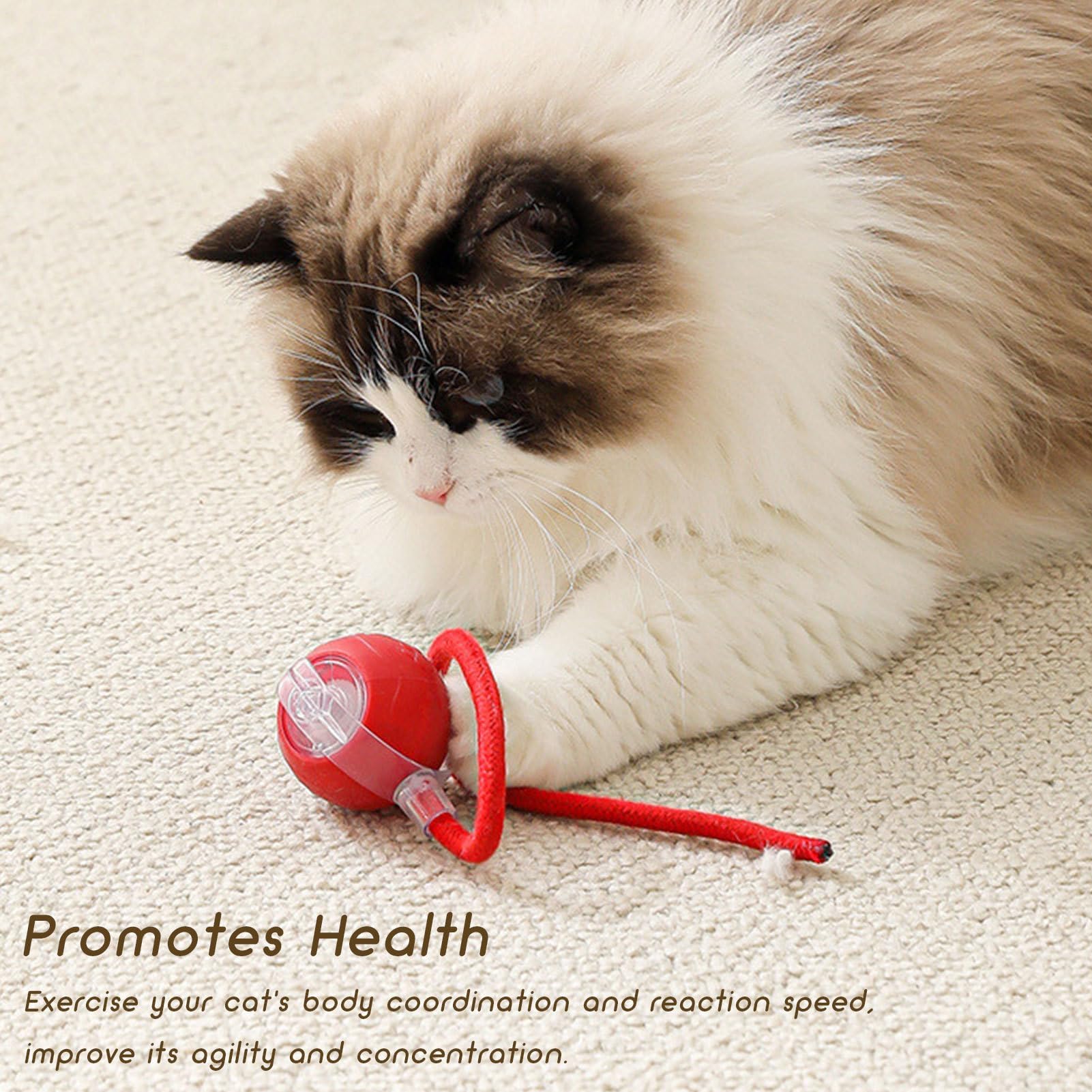 Juguetes para Gatos， Divertido Juego for Mascotas - Juguete for Gatos con Bola móvil de Silicona Cuerda | for Ejercicios enriquecimiento Juegos en Interiores(Red)