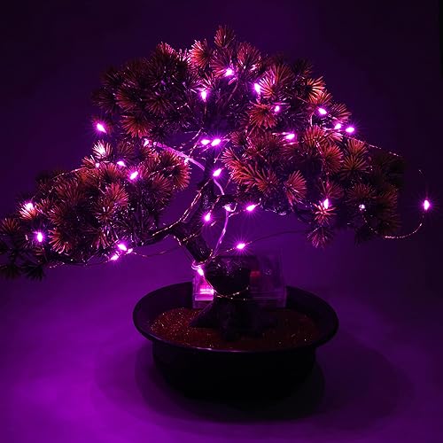 Miniatura 3 de Uhugu Luces de Navidad alimentadas por pilas, luces de Navidad alimentadas por batería de 16 pies con 8 modos intermitentes y temporizador de 8