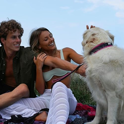 Miniatura 5 de Black Rhino - The Comfort Collar - Collar de perro acolchado de neopreno ultra suave para todas las razas. Resistente, ajustable, reflectante y