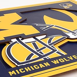 YouTheFan NCAA Michigan Wolverines 3D Logo Series Wall Art - 12x12, Team Colors