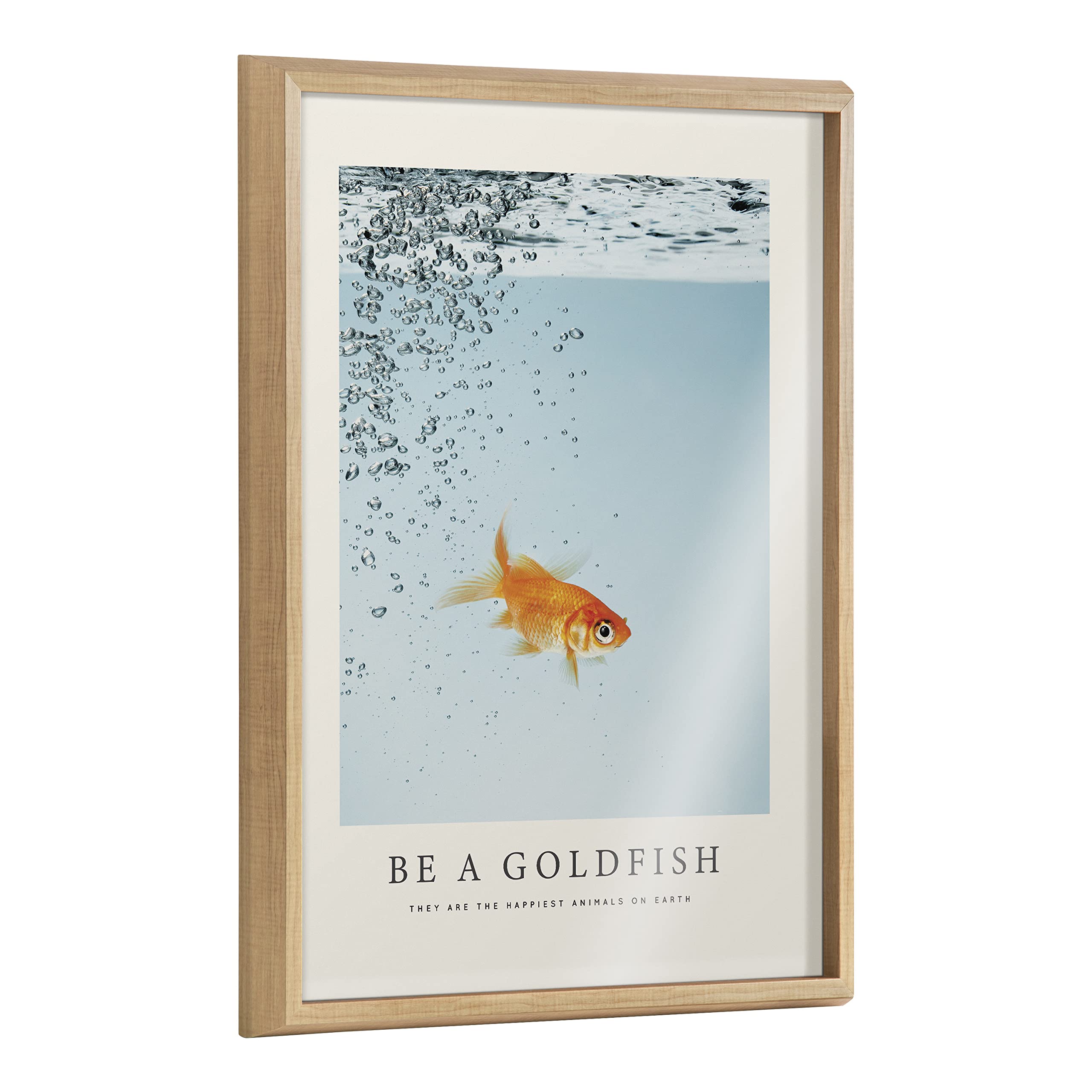 Kate and Laurel Blake Be A Goldfish Framed Printed Glass Wall Art by The Creative Bunch Studio, 18x24 Natural, Decorative Animal Inspirational Art for Wall