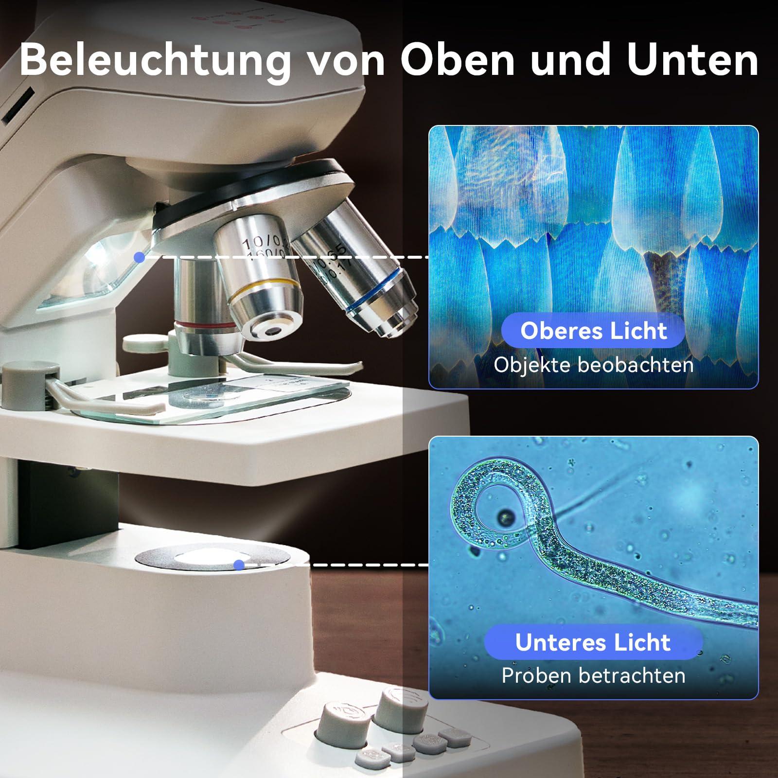 TOMLOV DM301 Pro Biologisches Mikroskop 1200X: 7" Digital Mikroskop mit USB-Ausgang für Erwachsene Kinder, 3 Objektive, Integrierter Messskala, Doppelte LED-Beleuchtung, Kompatibel mit Handy, PC&TV