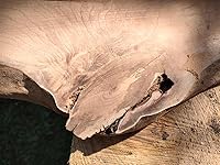 Review Image by Mountspirit Mountspirit