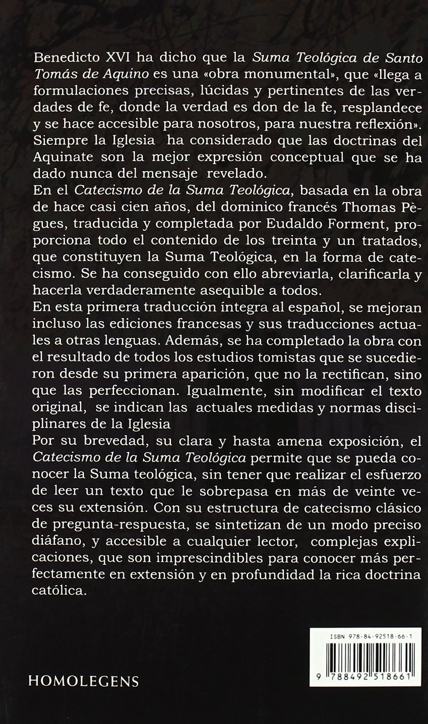 Catecismo de la suma teológica