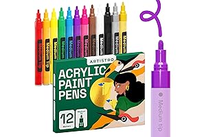 ARTISTRO 24 Acrylic Paint Pens, Ideal for Ceramic Plate Painting
