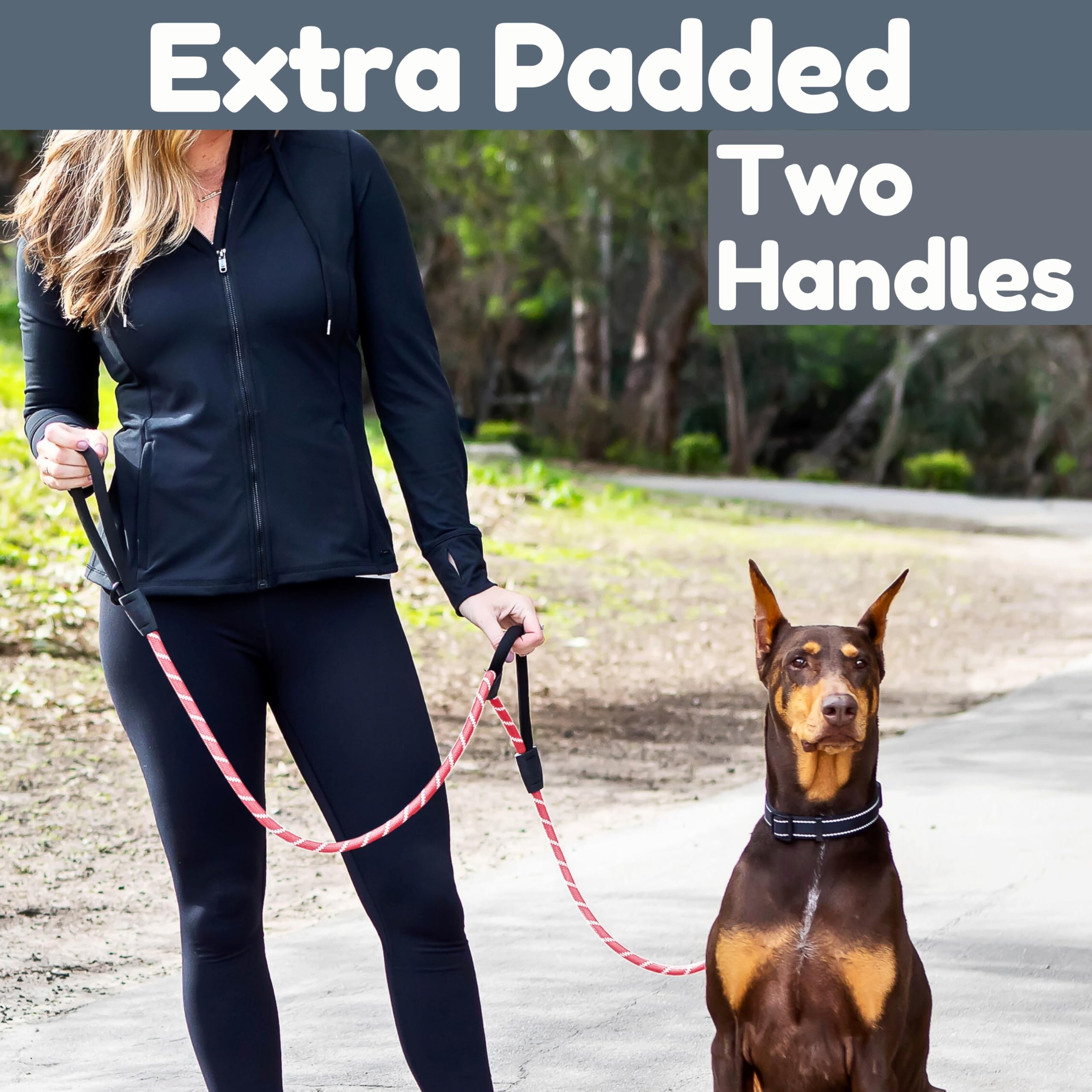 6 Foot Dog Leash, Two Extra Padded Handles, Locking Carabiner Clip, Reflective for Night Visibility, Weatherproof, Heavy Duty Rope Leash, Roam Gear (Pink) - image 2