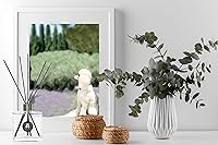 Vista 4 de Rainier’s Gifts Reed Diffuser Set (Boracay Sea Salt) - Scented Oil Diffuser Sticks - Home Fragrance Aromatherapy Air Freshener 6.5 fl oz