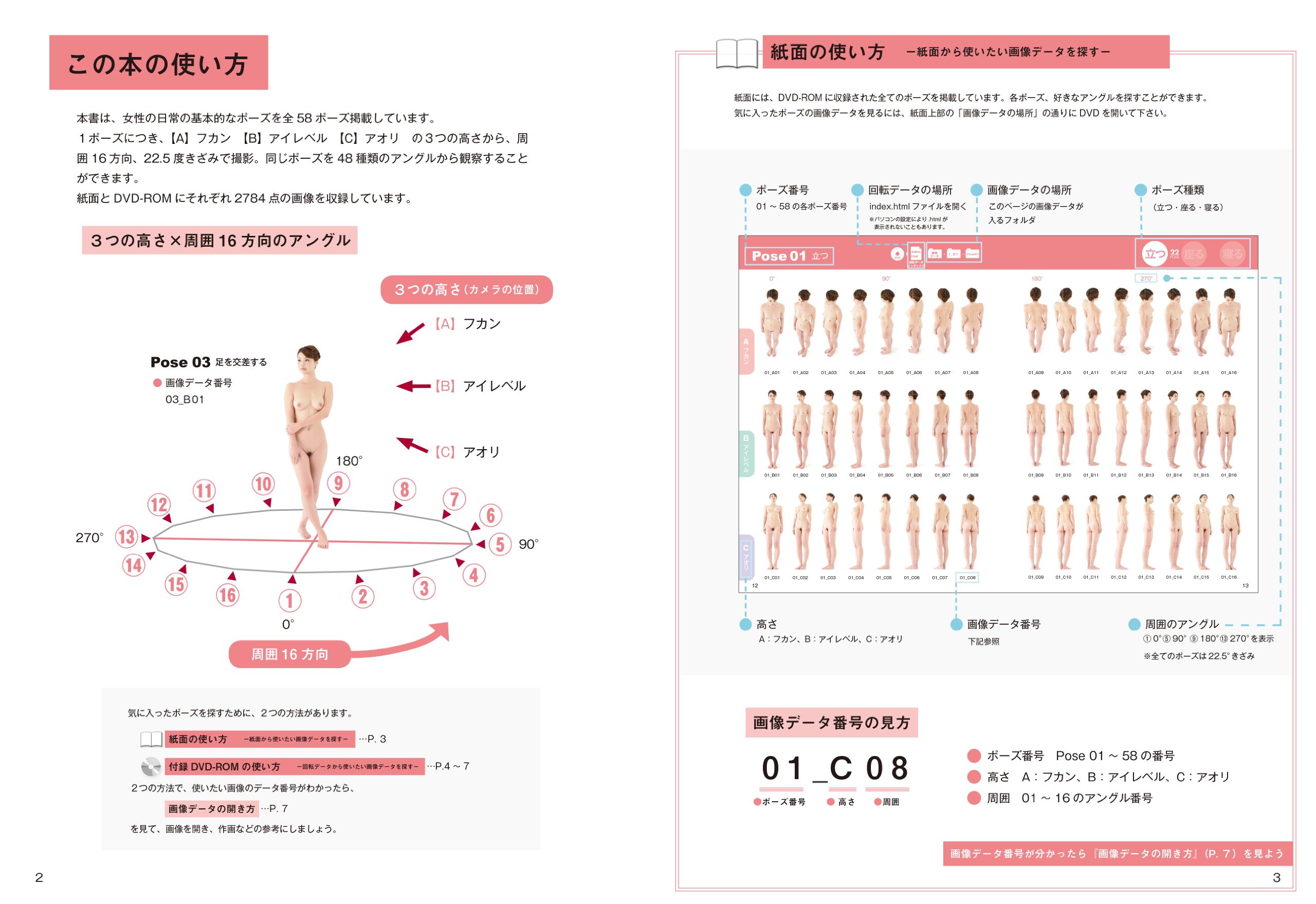 ぐるぐるポーズカタログdvd Rom1女性のベーシックポーズ マール社編集部 かすみ りさ 本 通販 Amazon