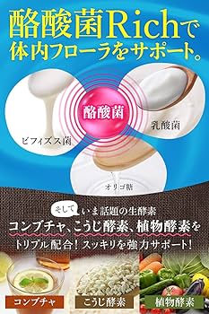生酵素 株式会社サンヘルス