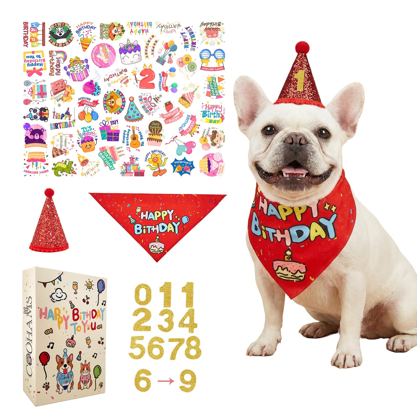Dog Birthday Party Decorations Set for Boys and Girls — image 1