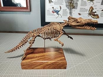 木彫　絶滅クジラ　ドルドン　頭骨模型　13cm 木彫 絶滅クジラ ドルドン 頭骨模型 13cm 木彫 絶滅クジラ ドルドン