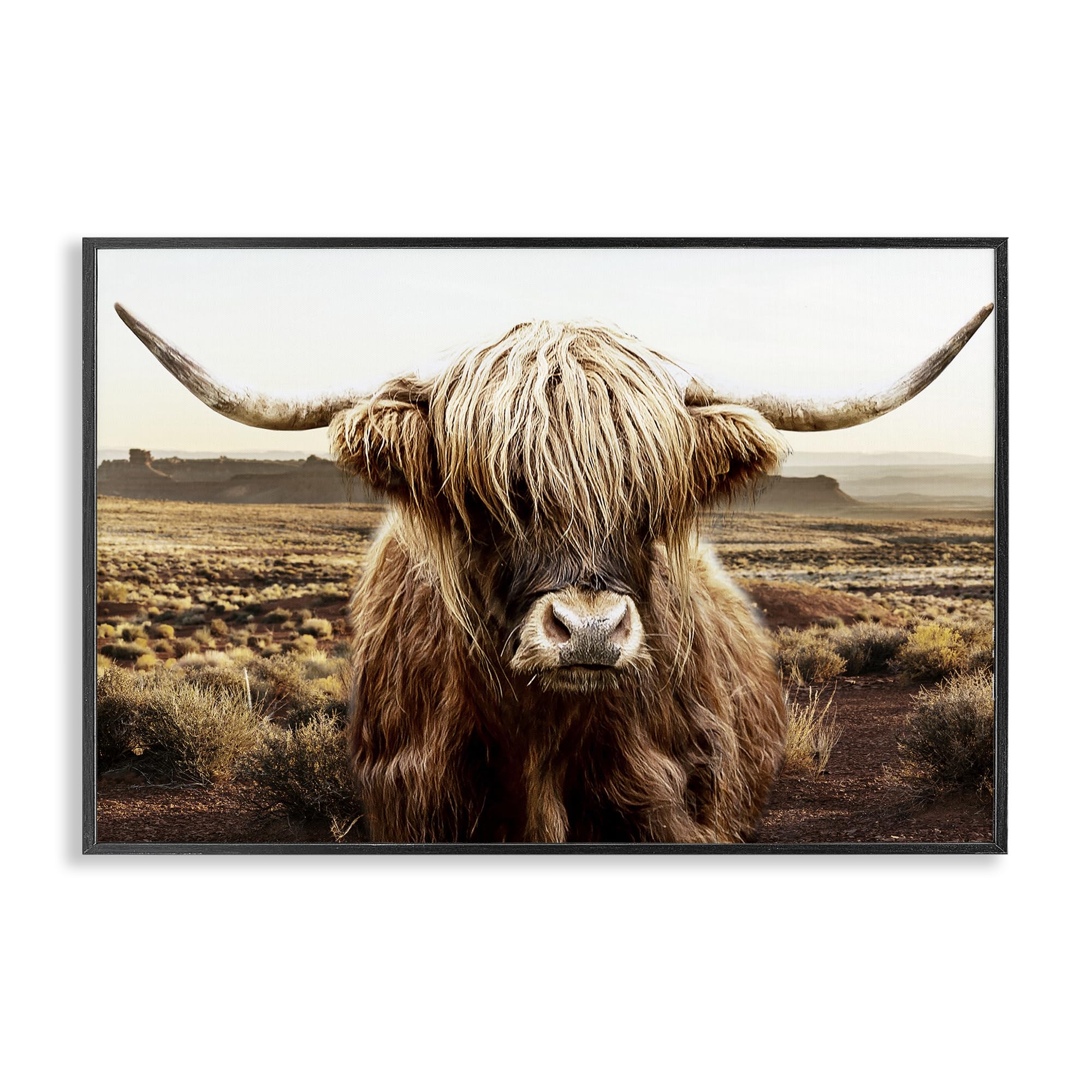 Stupell Industries Southwestern Highland Cow Portrait 'Rugged Vegetation Cattle Portrait', Framed Giclee Art, Black, 30 X 20 Inches, Easy To Hang And Sturdy, Made In Usa, By Cad Designs