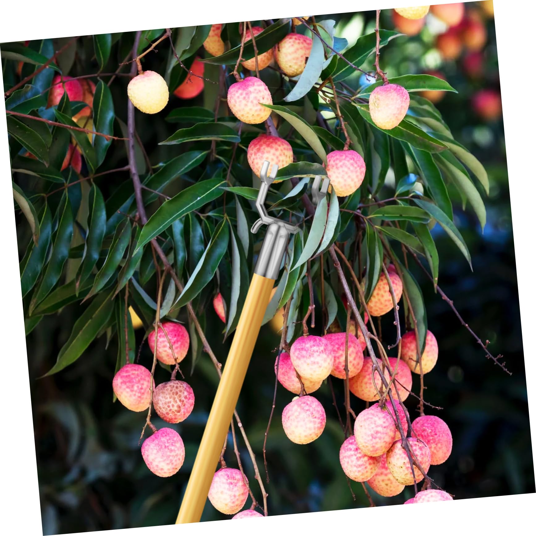 CIYODO Lot De 6 Supports Pour Branches D'Arbres Fruitiers - En Aluminium - Redresseur De Plantes - Pour Jardin