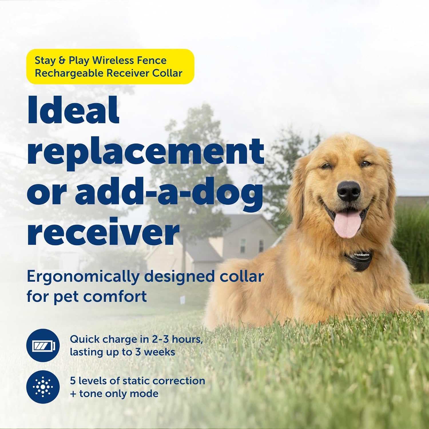 petsafe stay & play wireless fence receive collar - rechargeable and waterproof receiver collar with quick charge in 2-3 hours - for dogs 5lb+ extra collar only