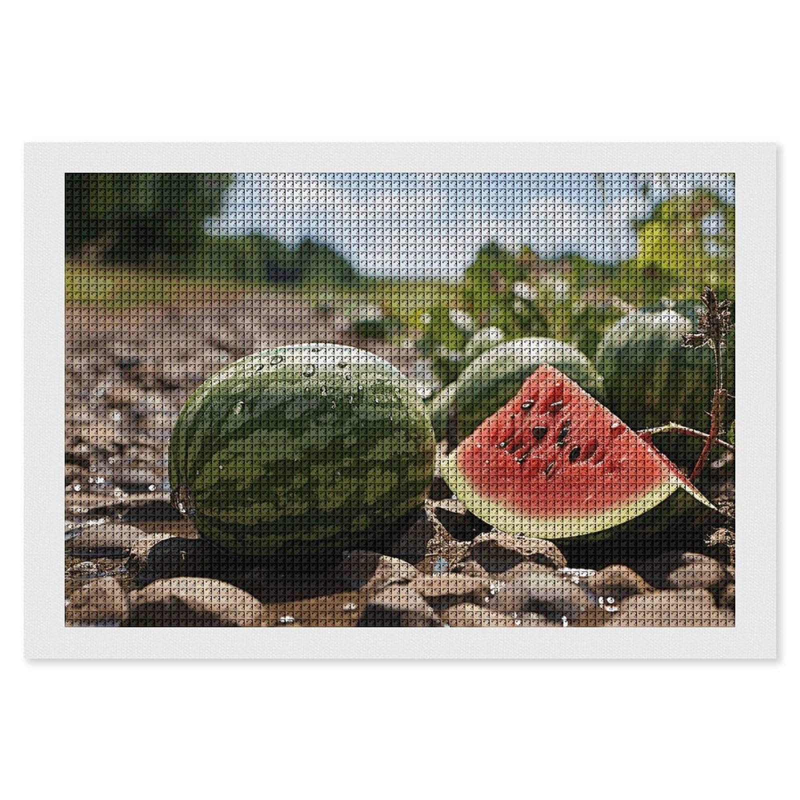 Diamond Painting Kits for Adults - DIY Diamond Art Kits for Beginners - Full 5D Paint Drill Diamond Dots Paintings- Watermelon on The Ground Diamonds Pictures Gem Art And Craft Wall Decor 8"x12"