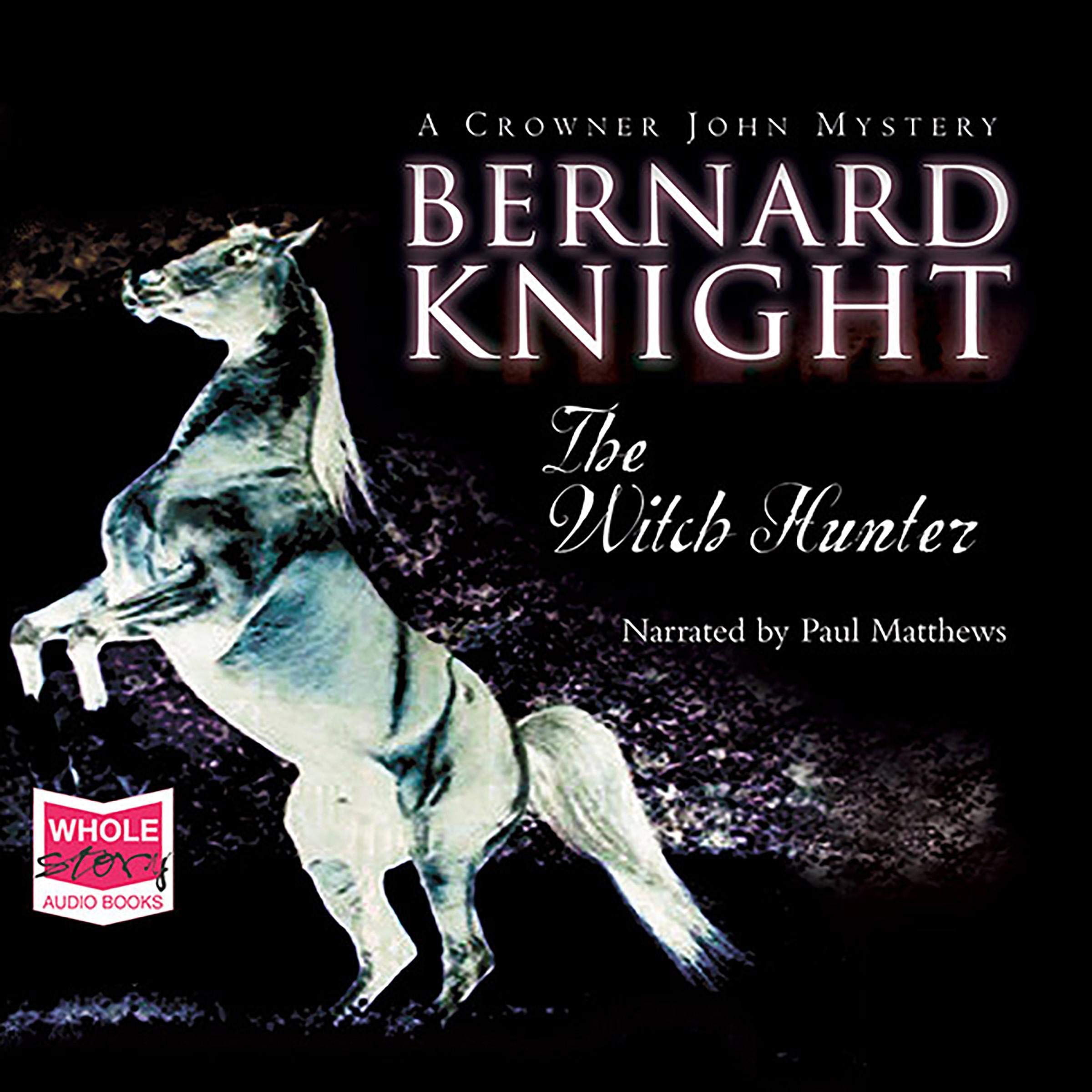 Cover art for The Witch Hunter