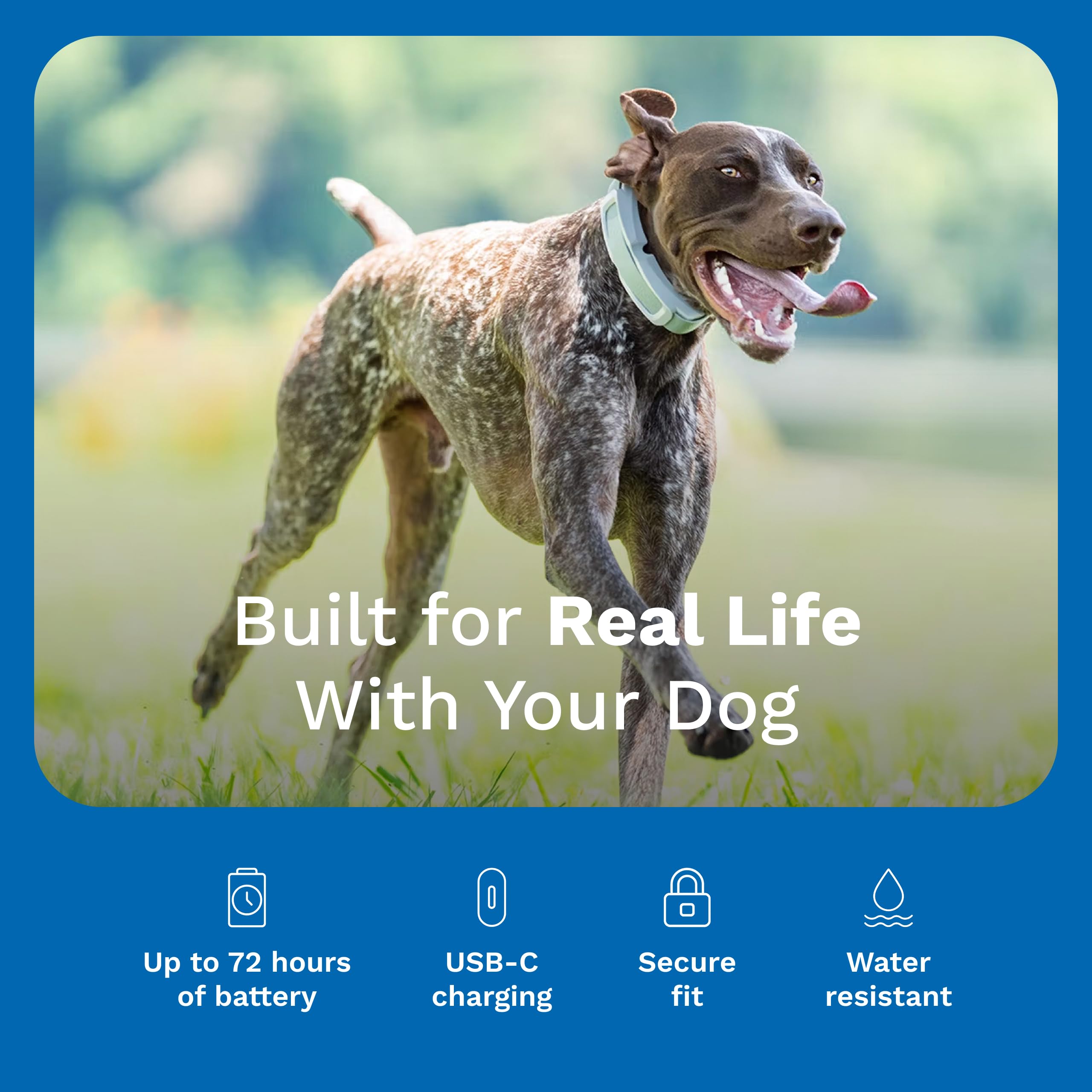 Invisible Fence Cerca y collar de seguimiento GPS para perros, inalámbrico, collar inteligente para perro con seguimiento controlado por aplicación, se adapta a perros medianos y grandes, cuello de 15