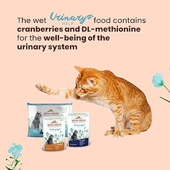 Almo Nature Functional Urinary Help Cat Food, Wet Food For Adult