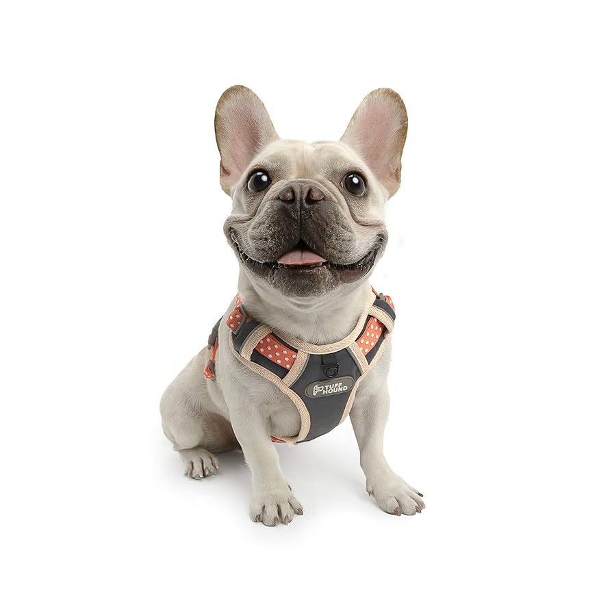 Amazon | 【日本正規代理店品】TUFF HOUND 犬 ハーネス メッシュ