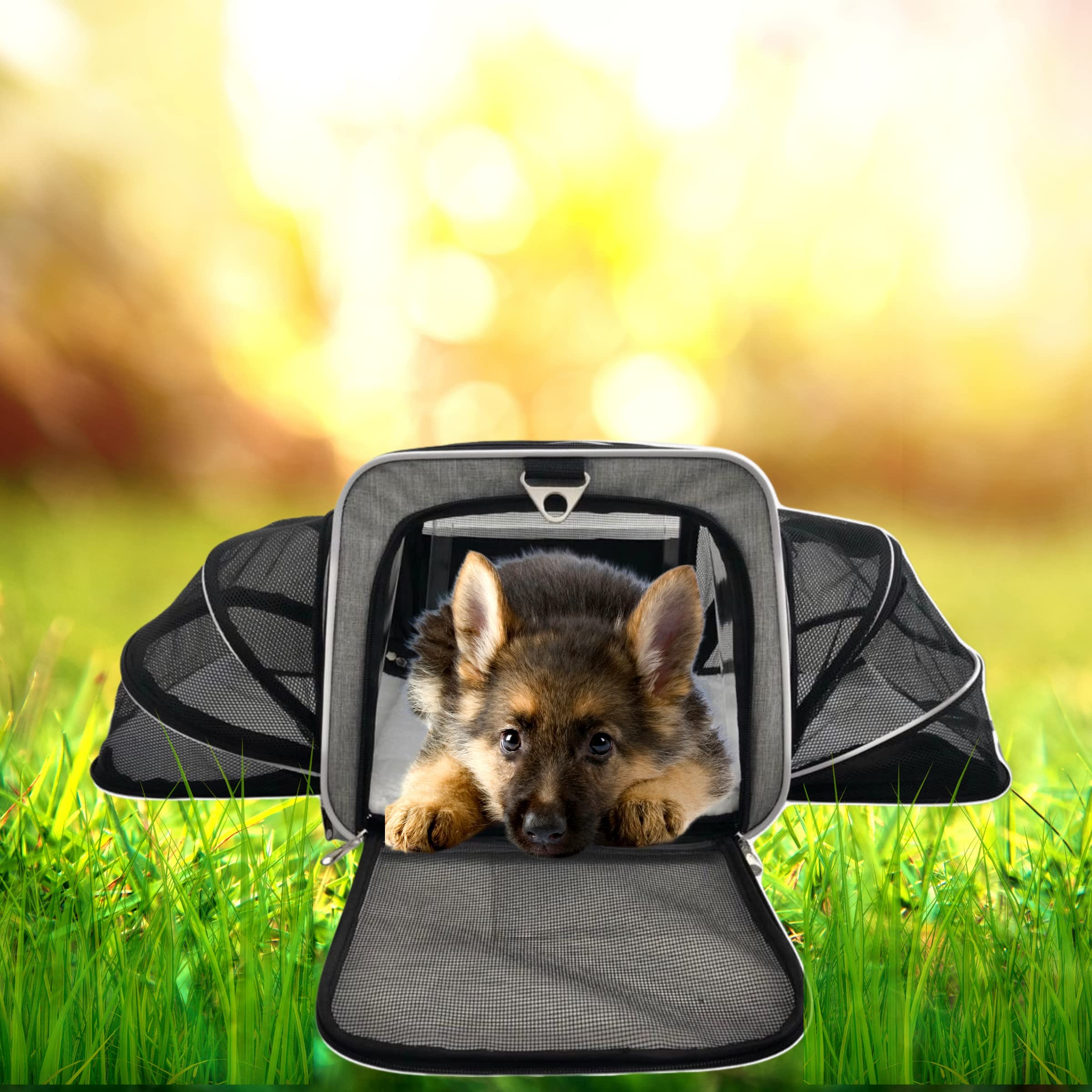 Ruff Life Airline Approved Expandable Premium Pet Carrier on Wheels