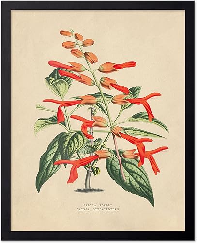 Miniatura 73 de Poster Master Póster de flores vintage, estampado botánico retro, arte floral antiguo, arte de plantas, regalo para hombres y mujeres, gran