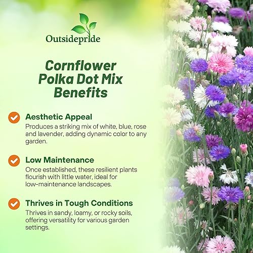 Miniatura 3 de outsidepride Cornflower, diseño de lunares, MIX