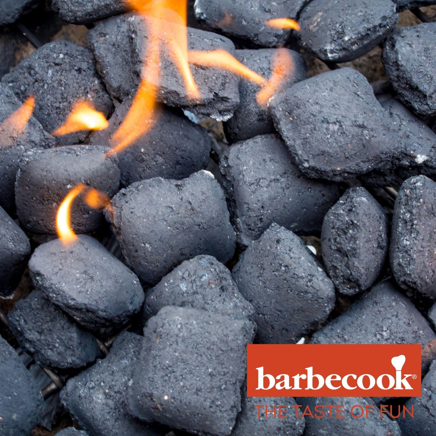 Bricchetti Barbecue Gusci Noce di Cocco Carbonella 5 Kg