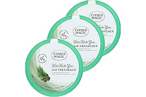 Citrus Magic Winter Wonder Green Air Freshener