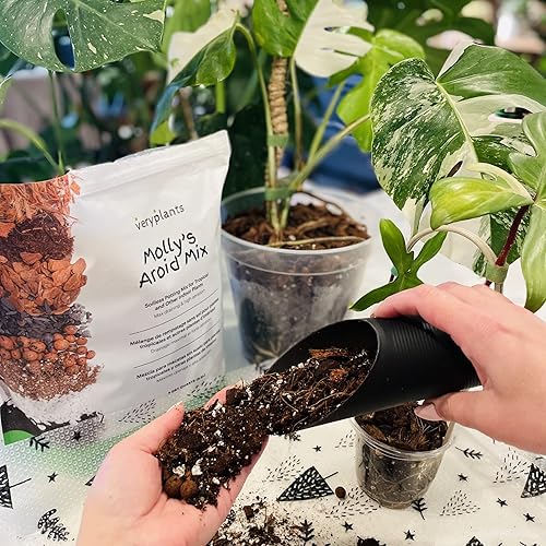 Miniatura 6 de Molly's Aroid Mix - Mezcla de maceta sin suelo prémium para plantas de interior - Drenaje rápido, grueso y más fácil de regar en comparación con el