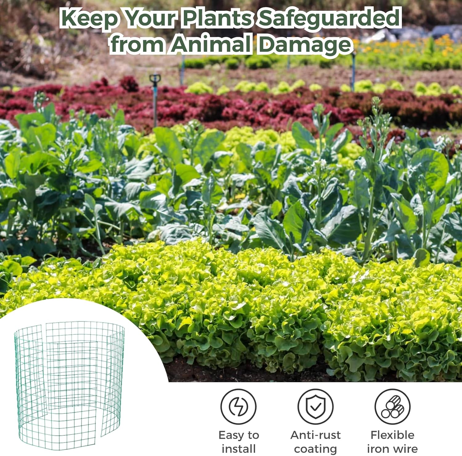 Lnrueg 12 Pack Wire Plant Protectors 14" Dia x 14" H from Animals, 24PCS Metal Mesh Plant Cases Protector 14x22 Inch to Keep Animals Out, Chicken Wire Cloche Garden Protection for Flowers Vegetables