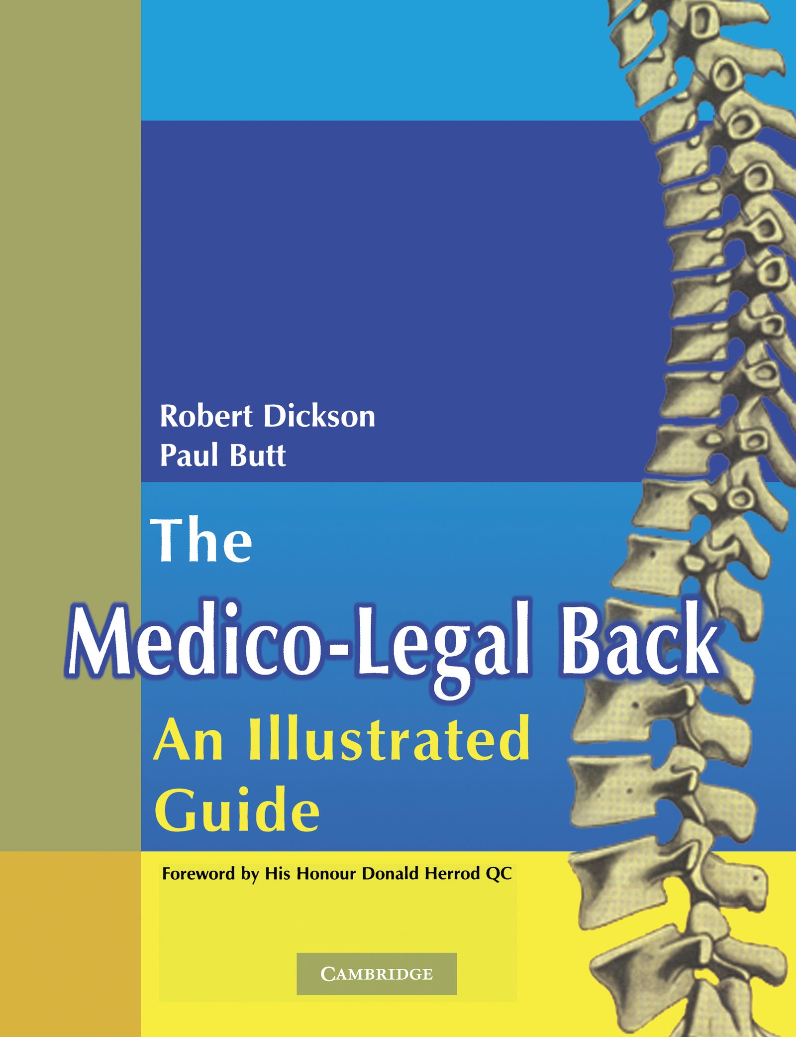 The Medico-Legal Back: An Illustrated Guide