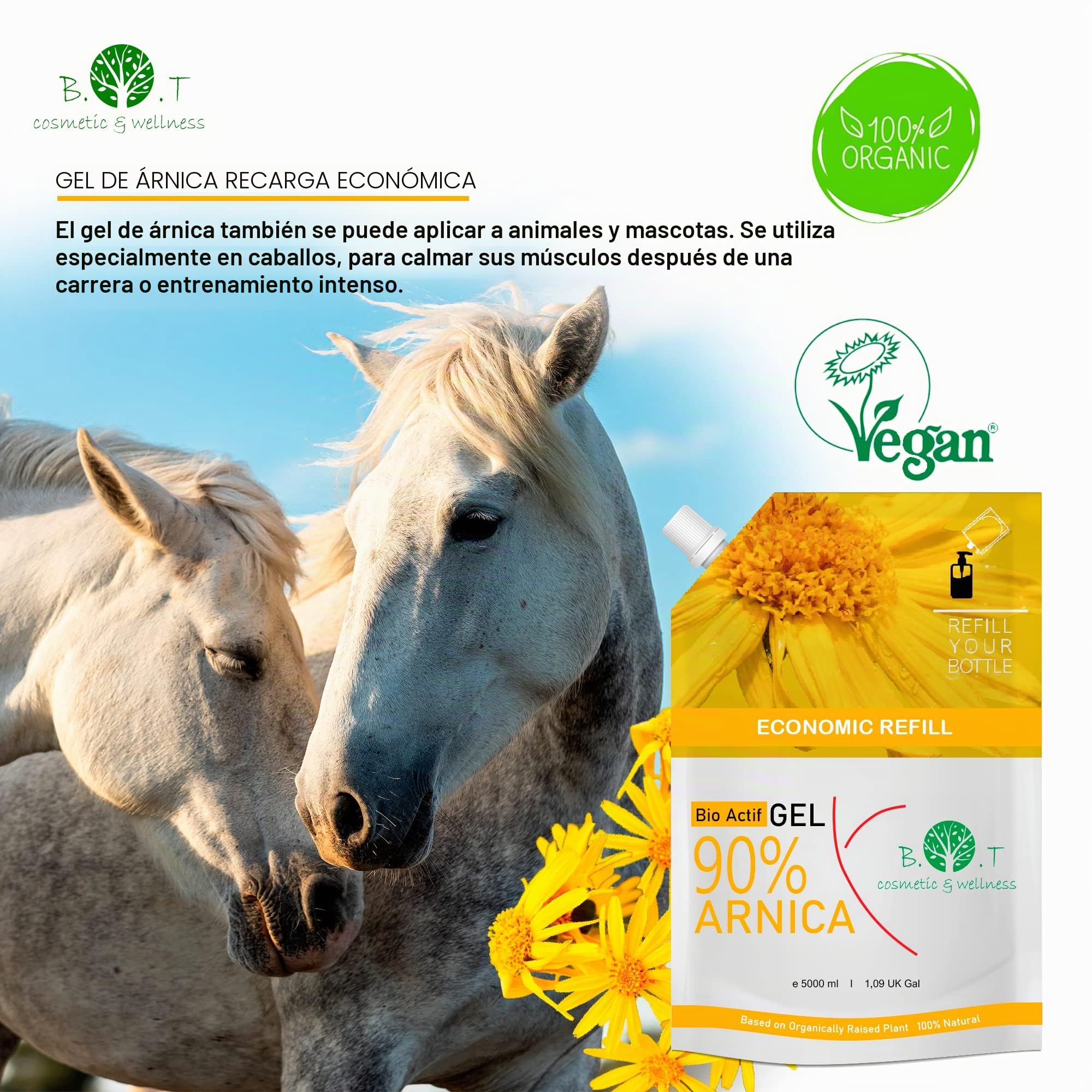 Gel de Arnica Forte Altamente Concentrada Arnica Extra Fuerte 100% Natural Gel Masaje Relajante Muscular, Circulacion Piernas Cansadas y Piernas Hinchadas - Formato Ahorro 5000 ml