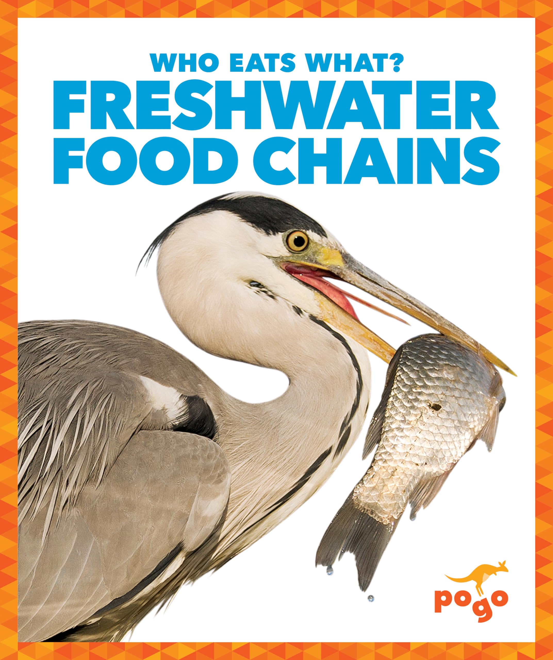 Freshwater Food Chains (Who Eats What?)