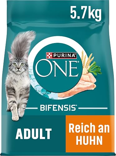 PURINA ONE BIFENSIS Dry Food for Adult Cats, Rich in Chic… - 1