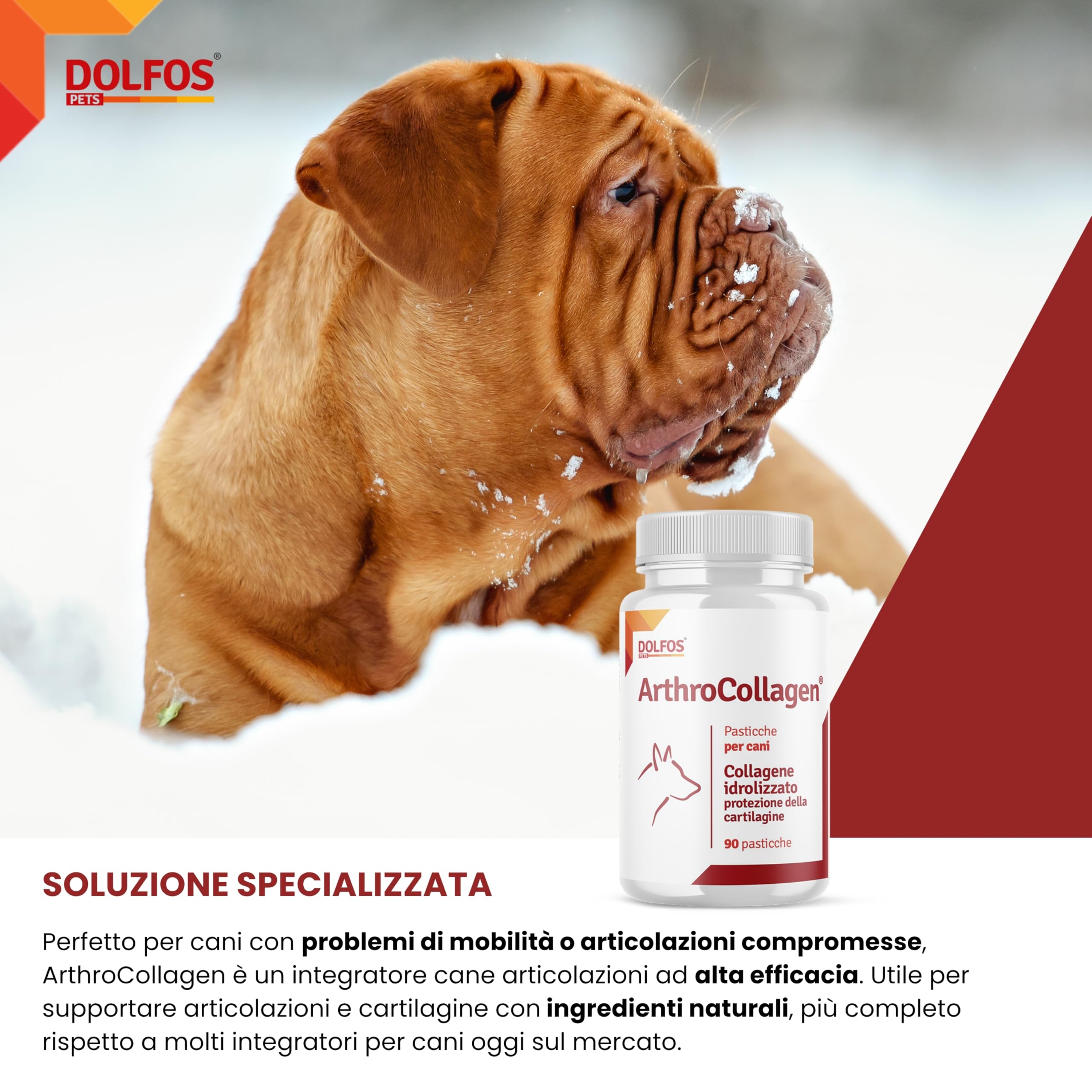 Dolfos ArthroCollagen Integratore Articolazioni Cane, 90 Cpr Masticabili, Joint Care, Integratori per Cani con Collagene, Omega 3, Vitamine, Antinfiammatorio Articolazioni Cani