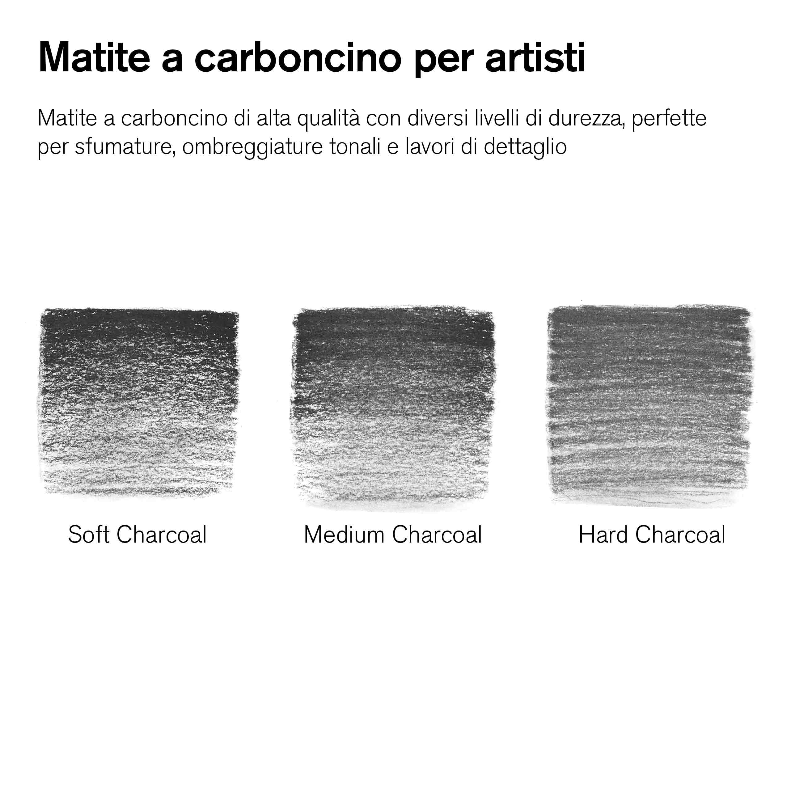 Winsor & Newton Studio Collection Matite Carboncino Scatola In Metallo 6 Pezzi