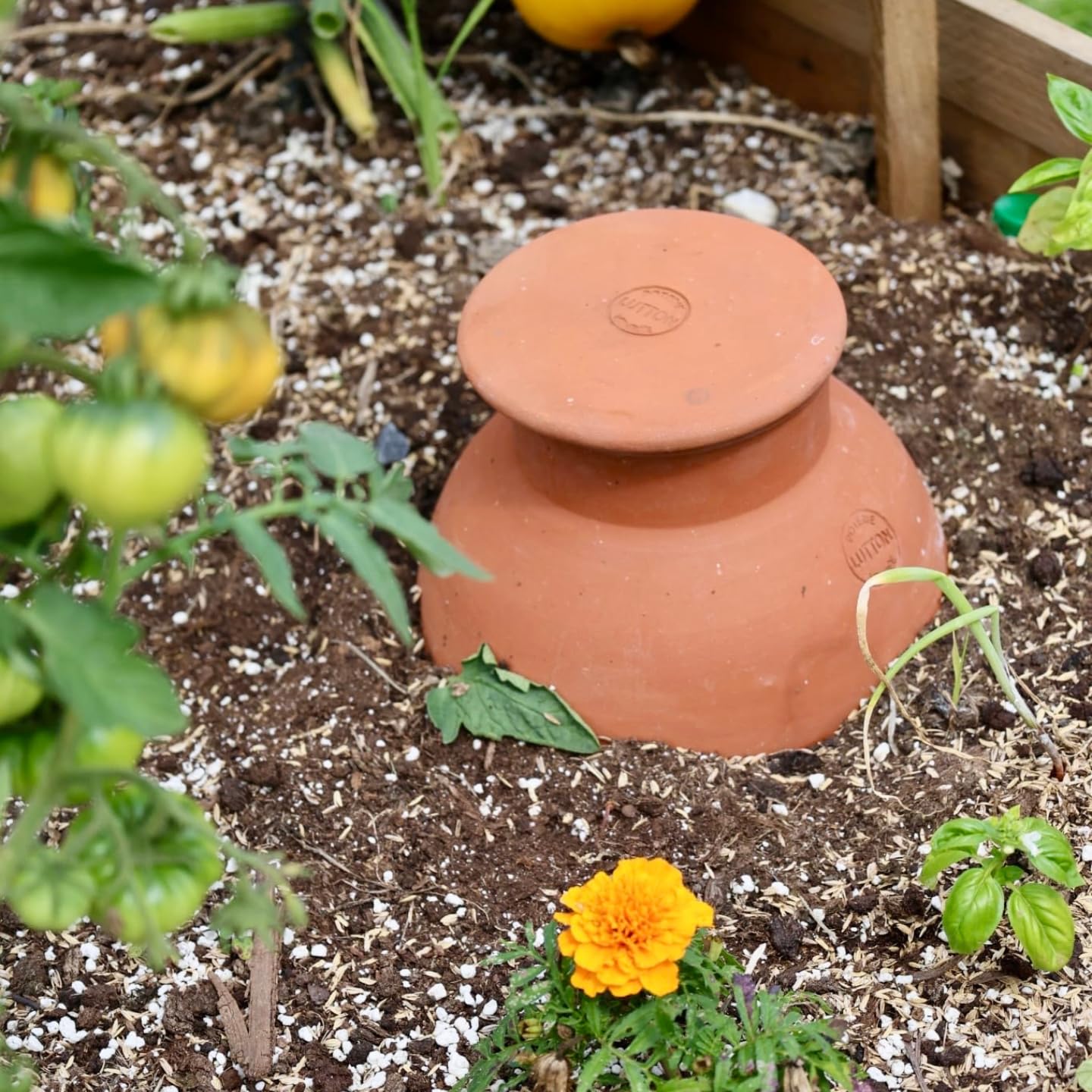 Duo d’Ollas Jardinier Taille L 5 L – Fabrication Française – Arrosage Autonome et Écologique pour Potager et Jardin