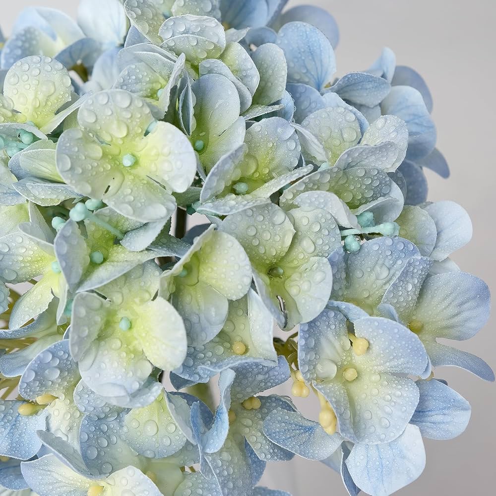 Hydrangea4937★★★　0308 08017333.jpg