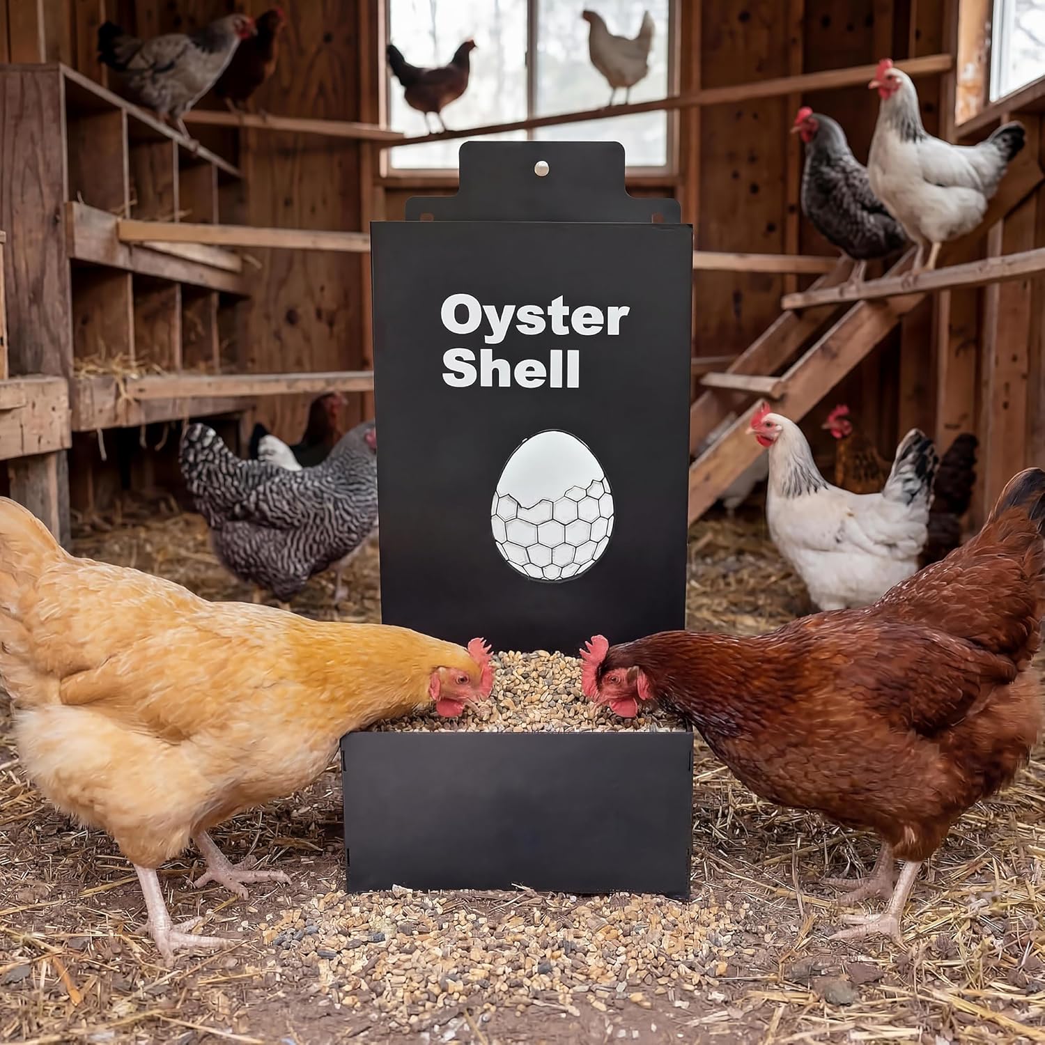 1 Set/2 Pieces Black & White Metal Chicken Feeder, 9.8×3.9×3.9 Inch (25×10×10cm), Iron Art, Anti-Waste Design, Heavy-Duty Galvanized Steel, Easy to Install & Clean, for Chickens, Pigeons, Turkeys, Duc