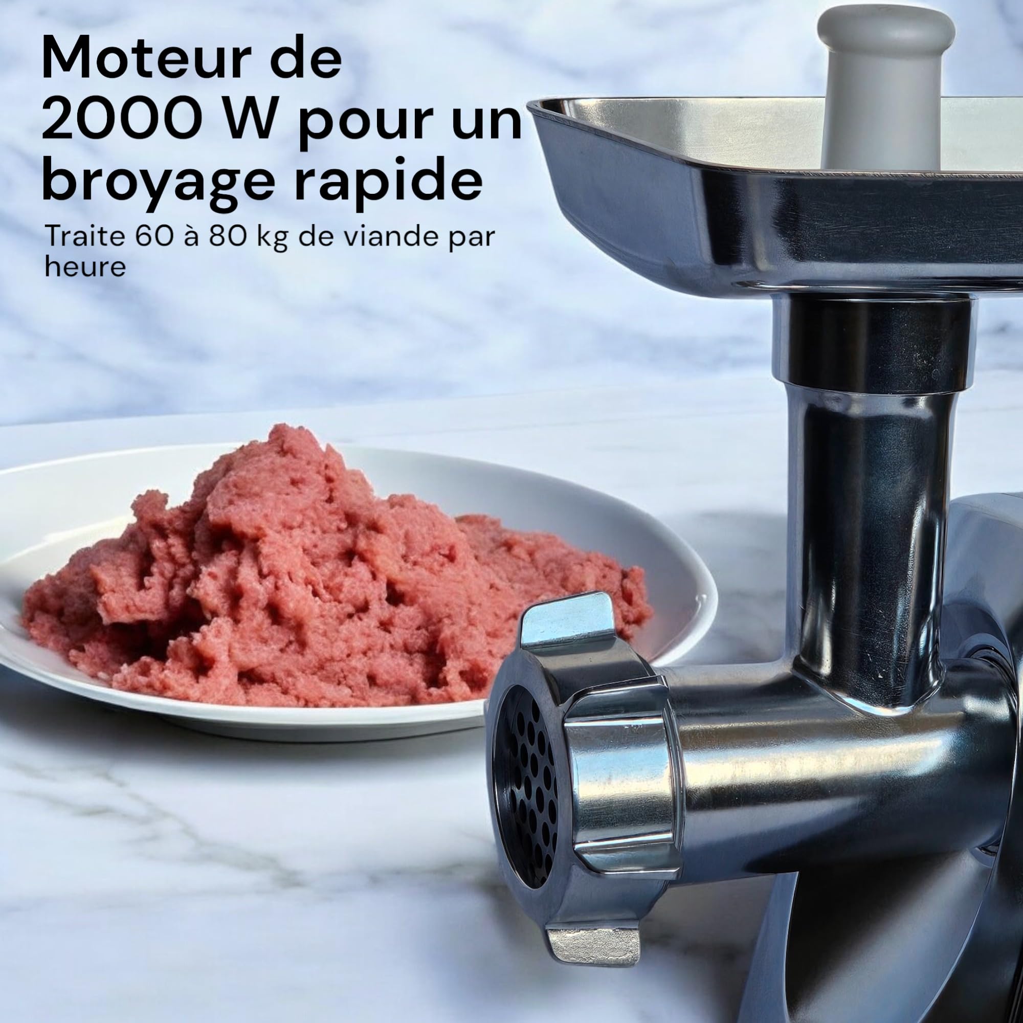 Royal Swiss - Picadora de carne eléctrica (2000 W, acero inoxidable, función inversa, compacta y potente, accesorios incluidos, picadora multifunción para carne, salchicha, salsa y relleno para el