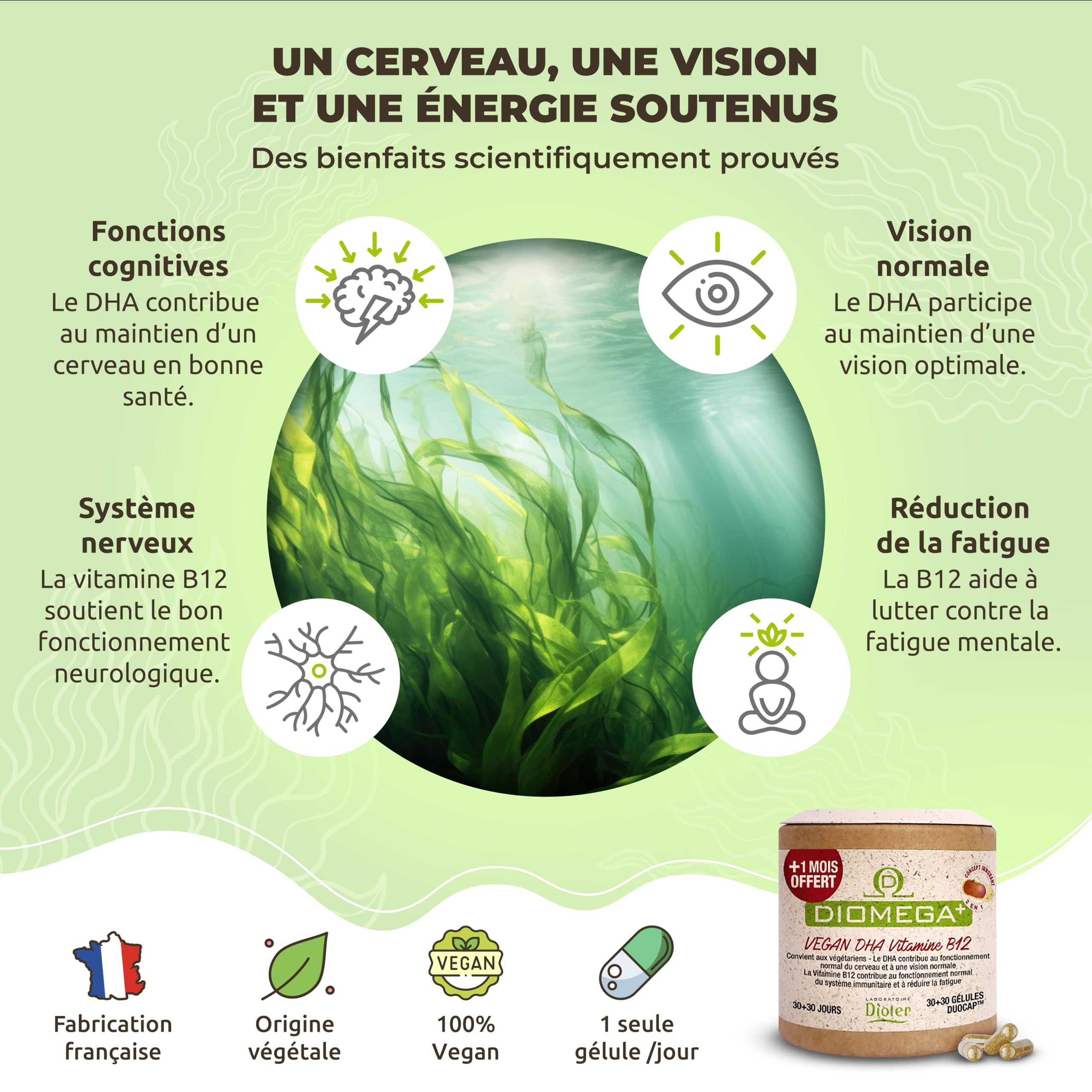 Dioméga Équilibre Cérébral, Oméga 3 végan, DHA d’Algues + Vitamine B12 – Complément Alimentaire végan - Mémoire, Concentration, Vision & Système Nerveux - 60 Gélules