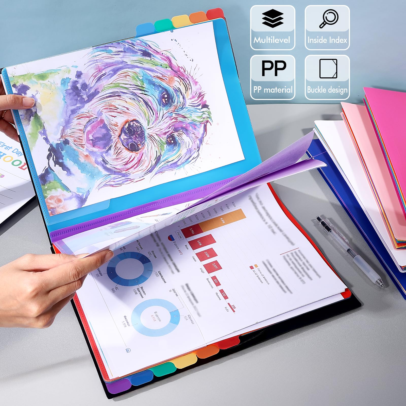 Organizador Documentos Oficina Carpeta Clasificadora A4 VIQWYIC - 12 Compartimentos Rosa Carpeta Con Goma Elástica