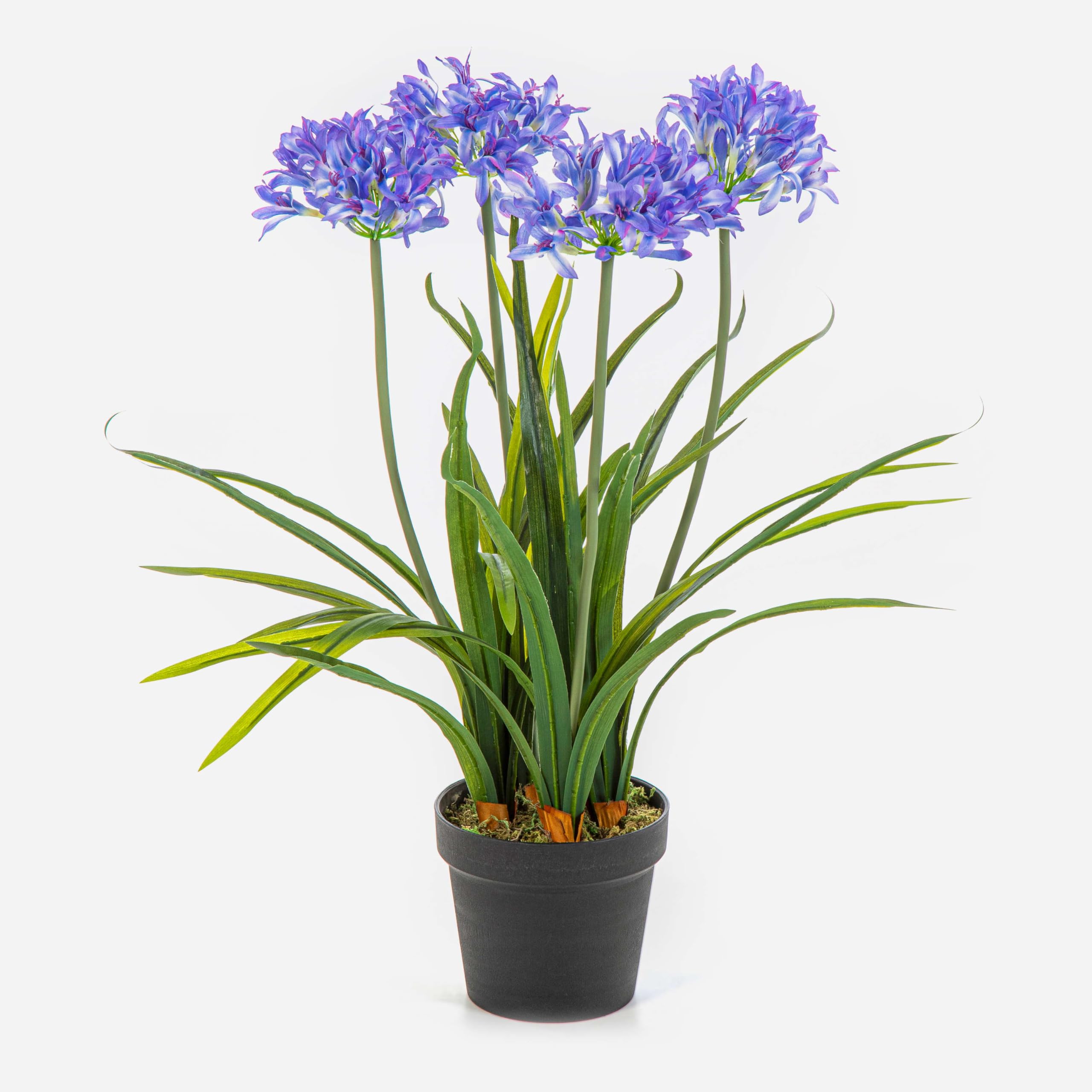 artplants.de Fleur Artificielle Agapanthus LESEDA, Bleu, 65 cm