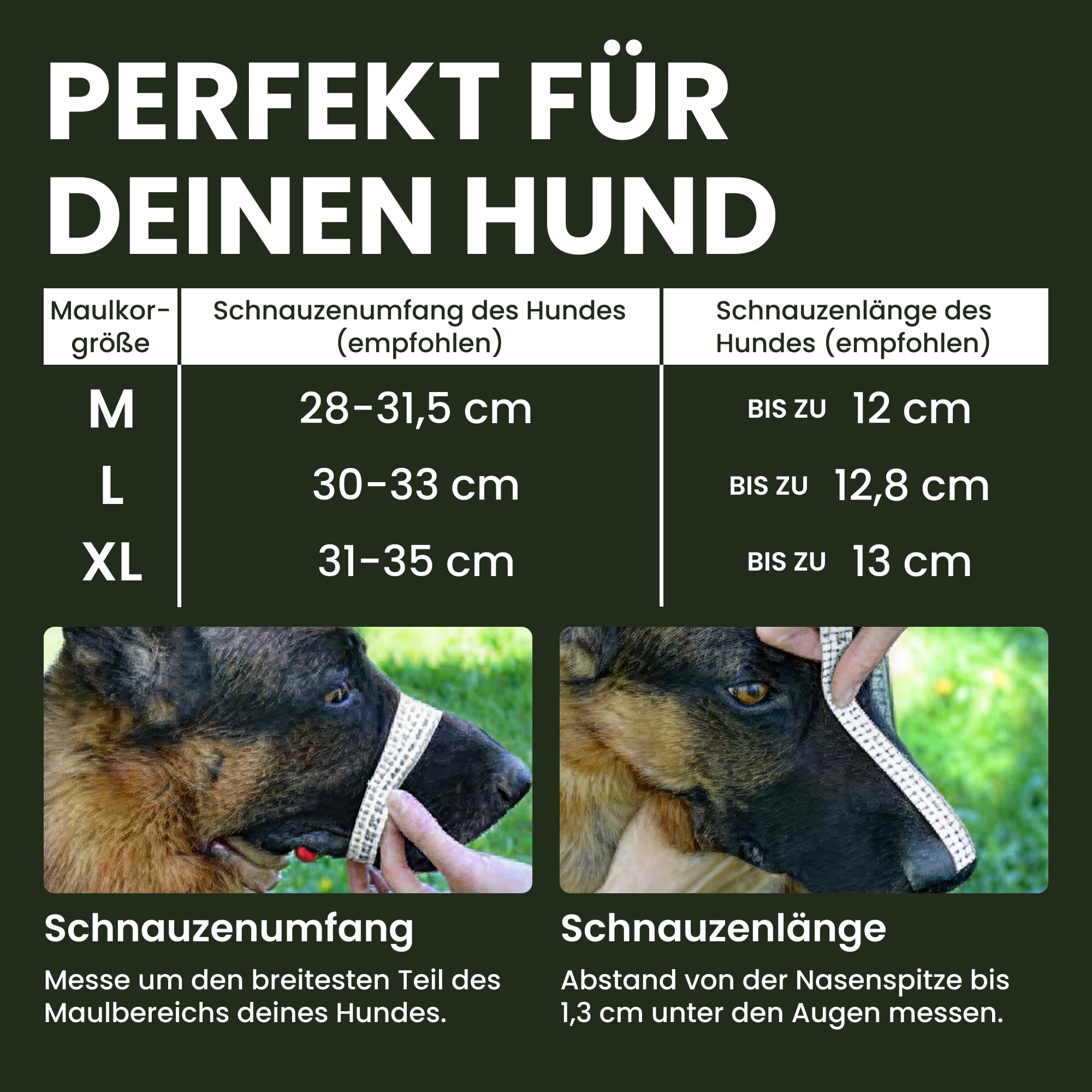 BRONZEDOG Edelstahl Metallmaulkorb für Extra Große Hunde, ermöglicht Hecheln und Trinken (Cane Corso)