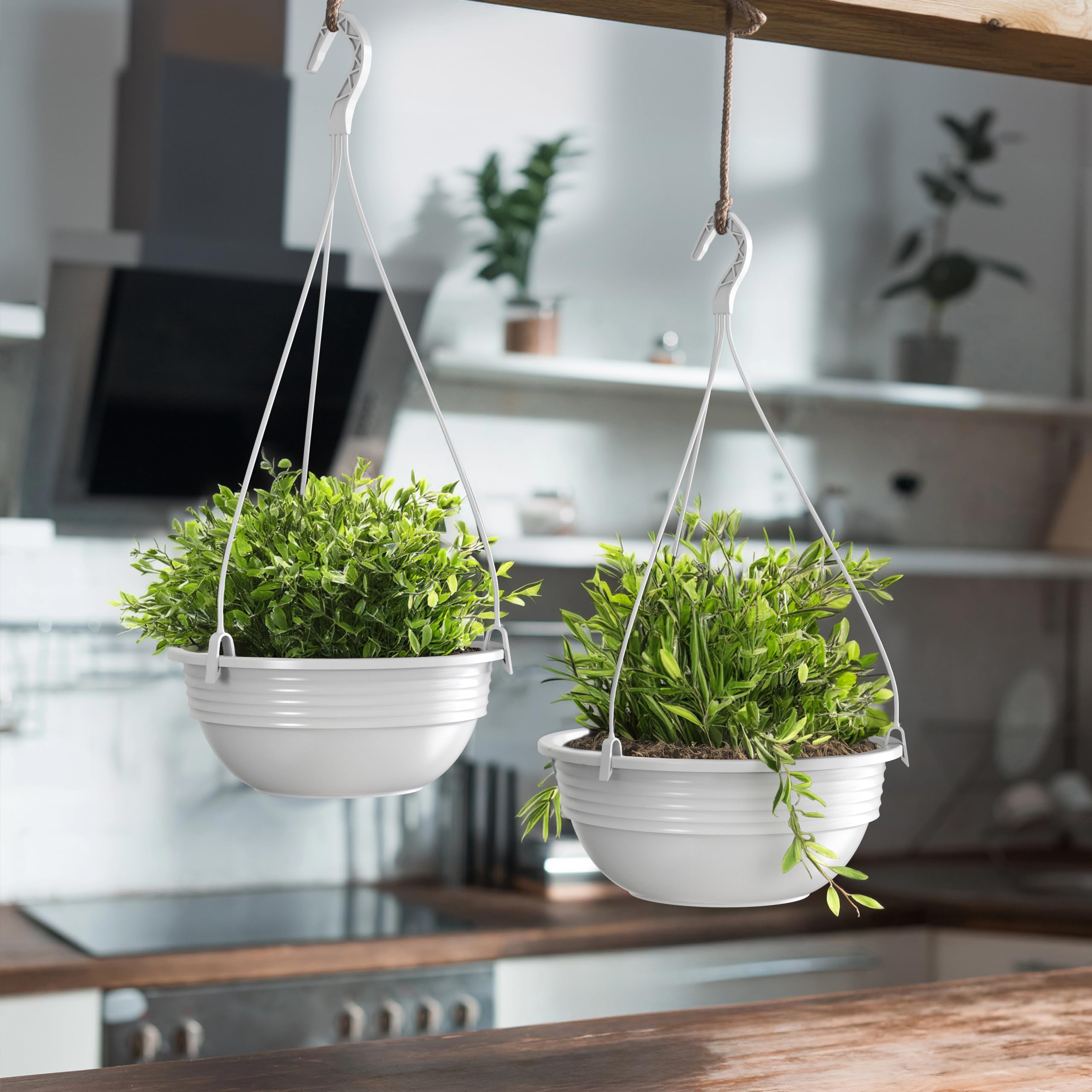 Plastard Blumenampel 32 cm Durchmesser Pflanzschale Farbe Weiß Kunststoff Blumenschale für Innen und Außen Deko Schale zum hängen witterungs- und frostbeständig