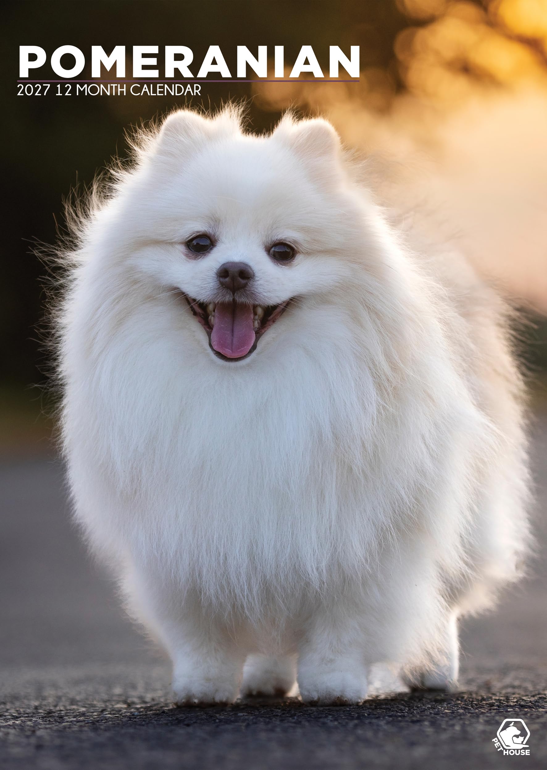 Pomeranian Dog 2027 Calendar, A3, Full Colour, Wirobound (CRU)